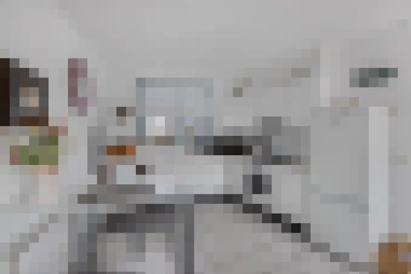 Het Brekkense Wiel 97 Lemmer thumbnail 17