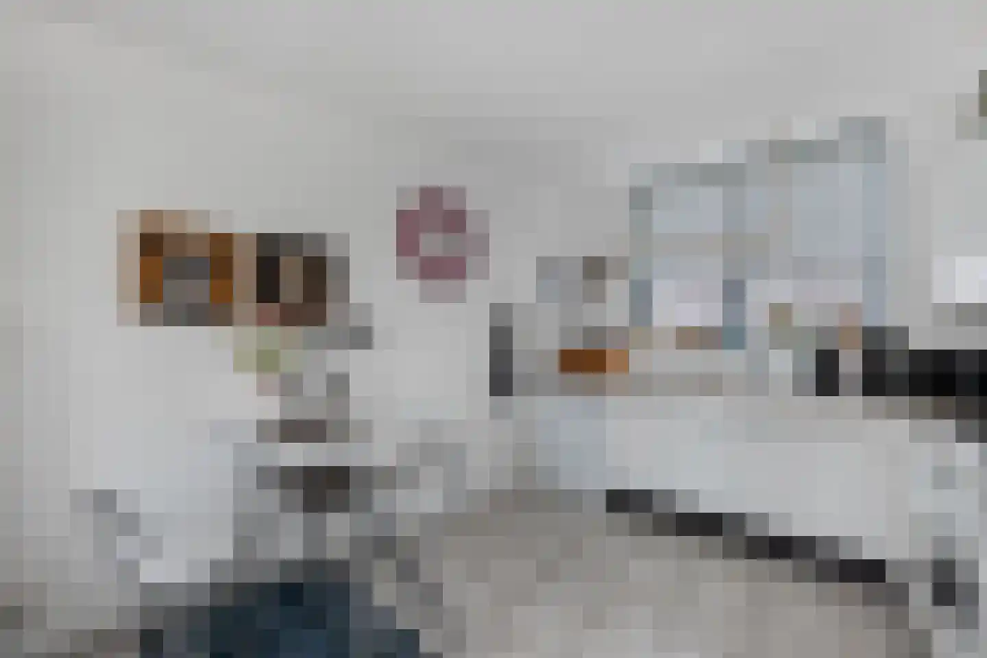 Het Brekkense Wiel 97 Lemmer thumbnail 18