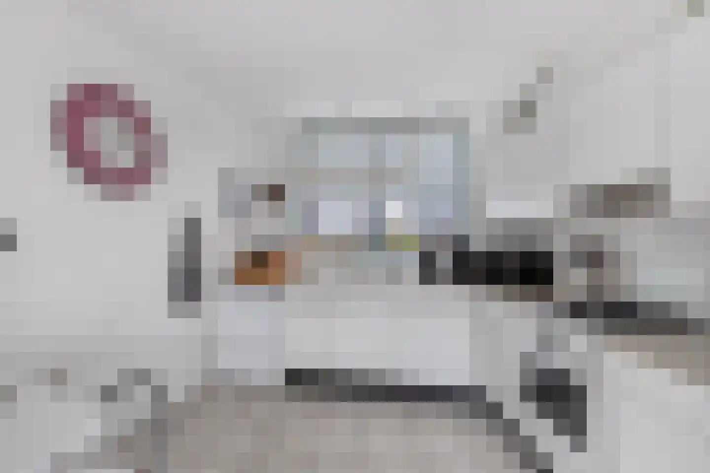Het Brekkense Wiel 97 Lemmer thumbnail 19
