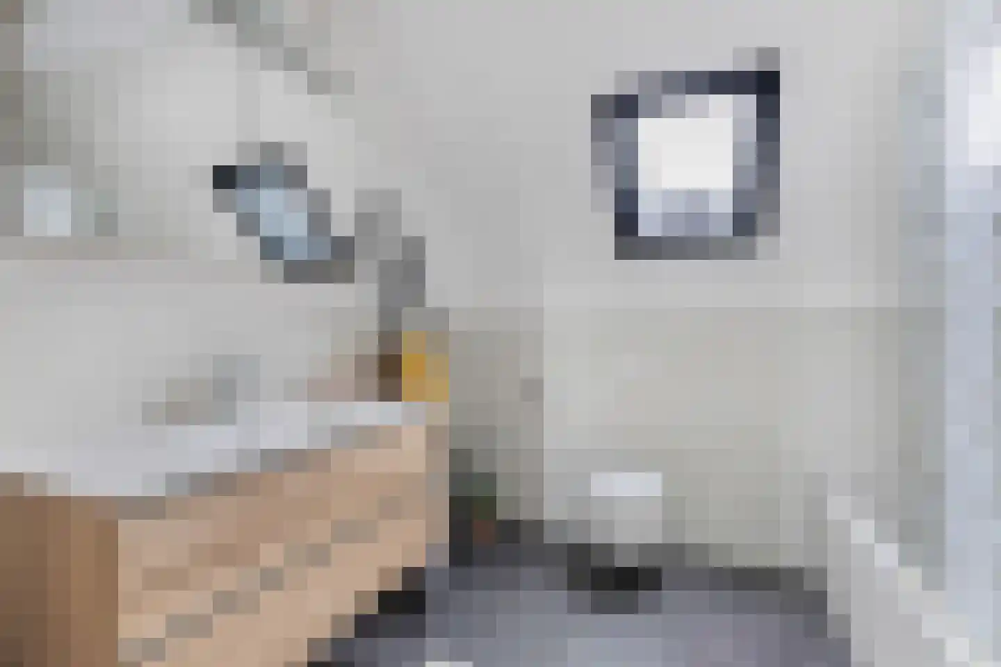 Het Brekkense Wiel 97 Lemmer thumbnail 4