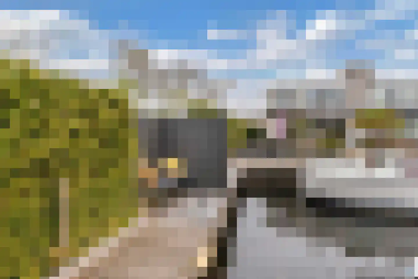Het Brekkense Wiel 97 Lemmer thumbnail 41