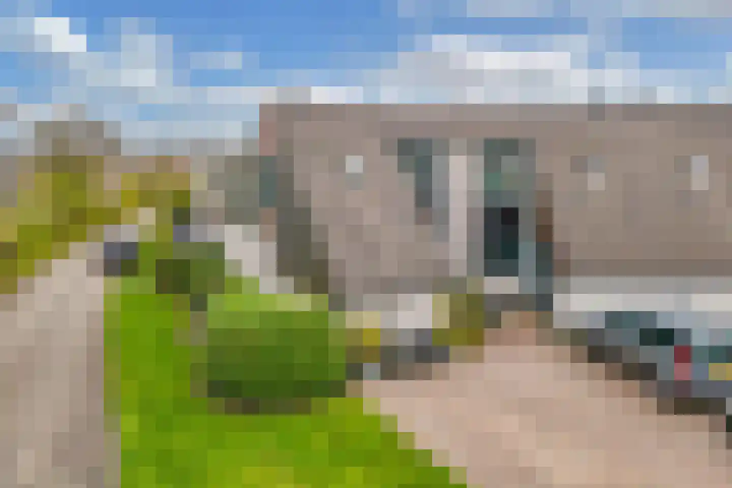 Het Brekkense Wiel 97 Lemmer thumbnail 56