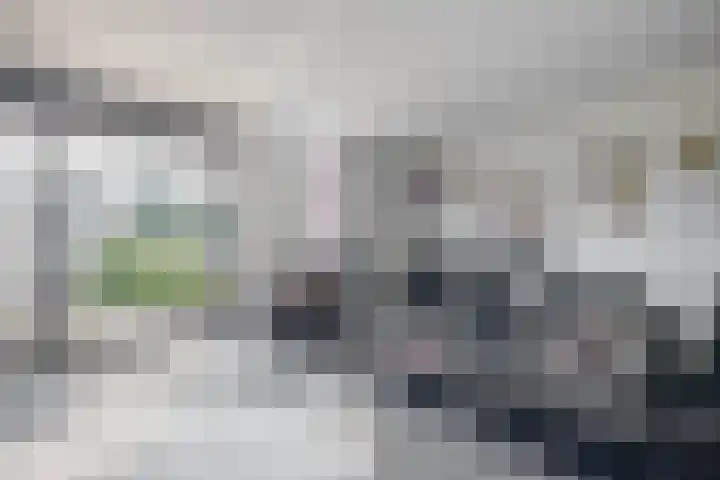 Het Brekkense Wiel 98 Lemmer thumbnail 10