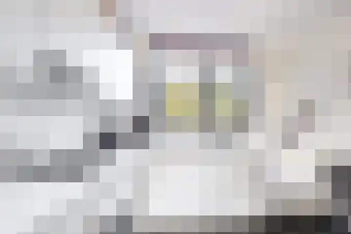 Het Brekkense Wiel 98 Lemmer thumbnail 14