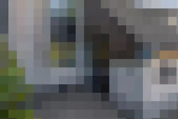 Het Brekkense Wiel 98 Lemmer thumbnail 4
