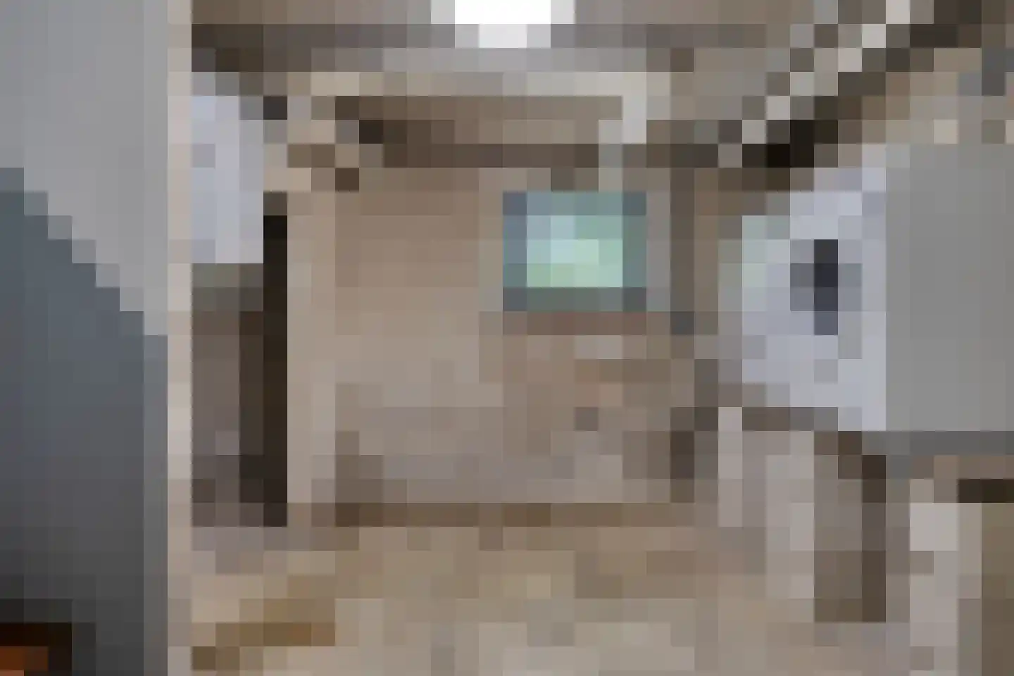 Het Brook 12 Wierden thumbnail 22