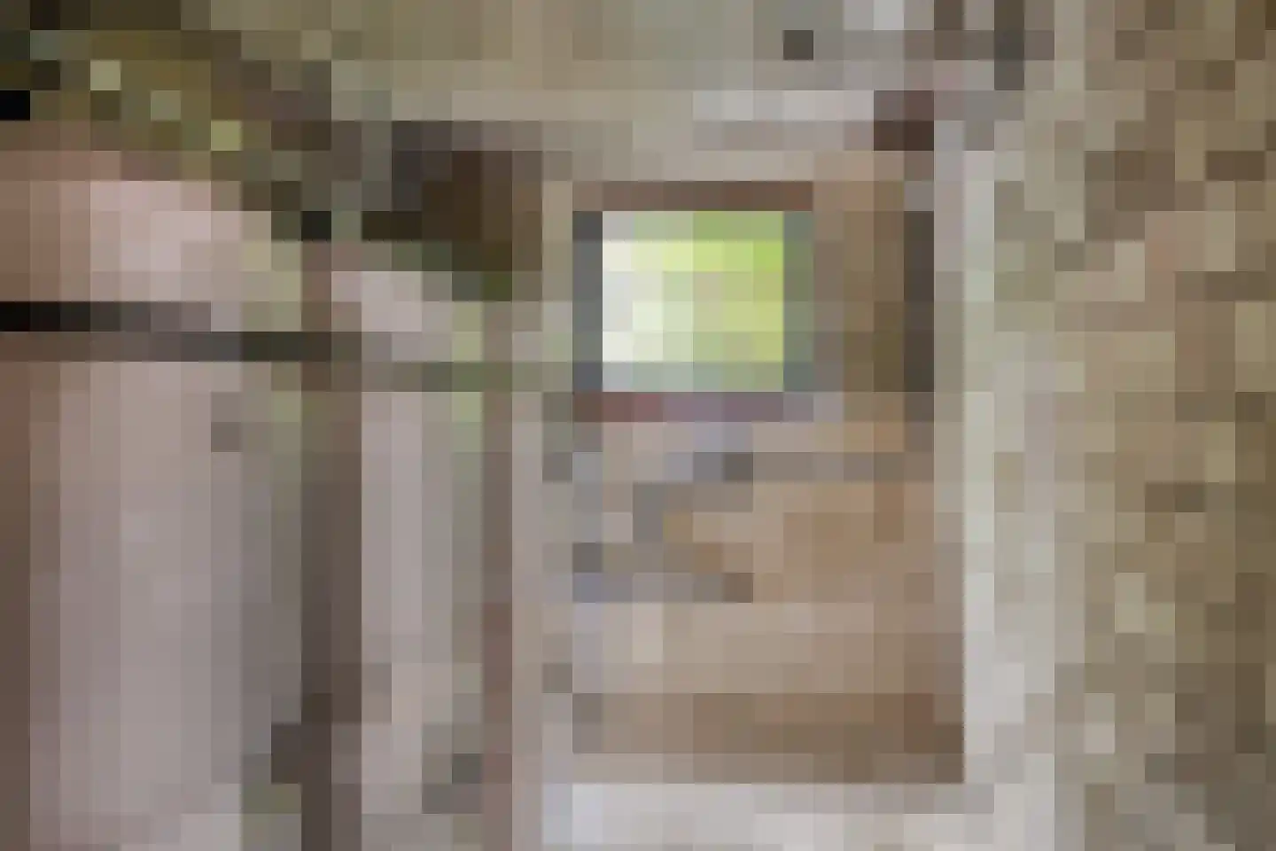 Het Brook 12 Wierden thumbnail 23