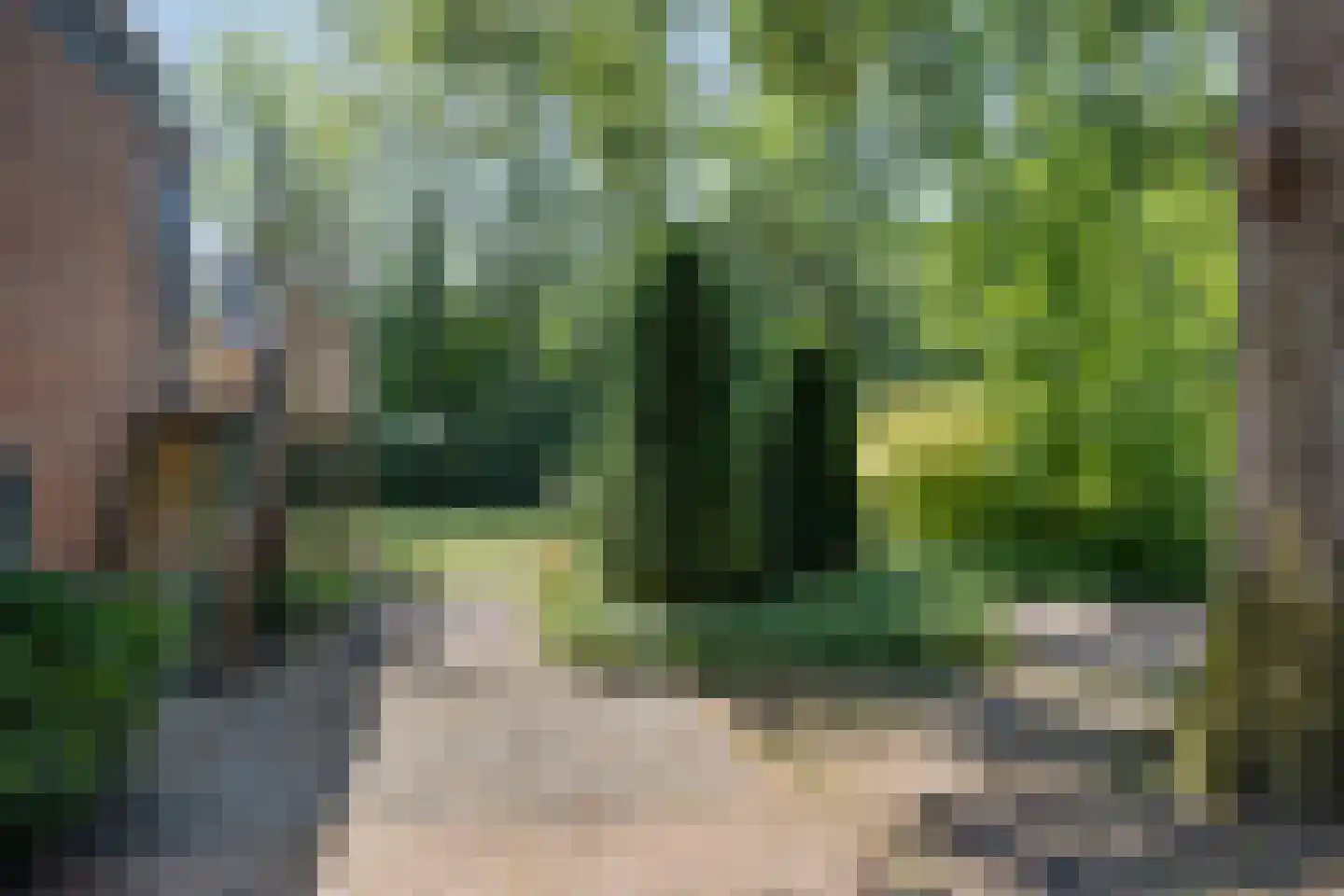 Het Brook 12 Wierden thumbnail 25