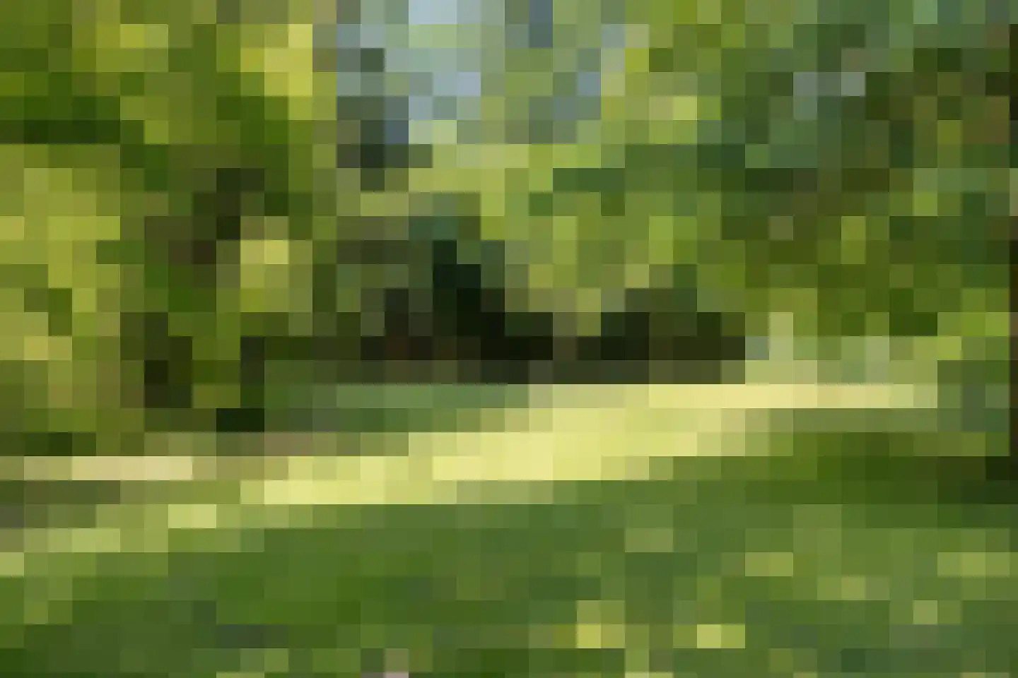 Het Brook 12 Wierden thumbnail 27