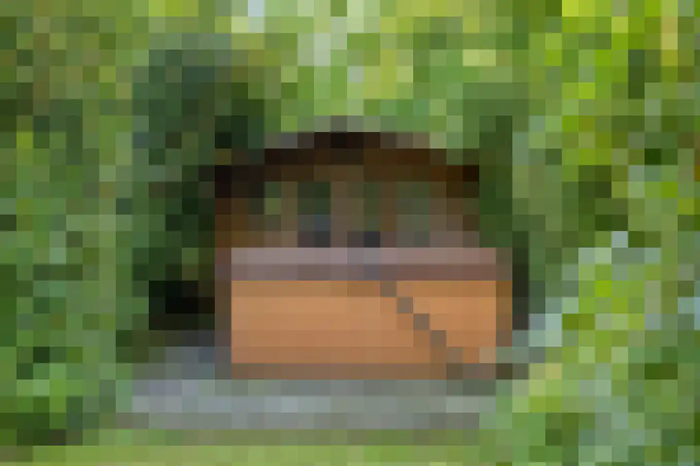 Het Brook 12 Wierden thumbnail 31