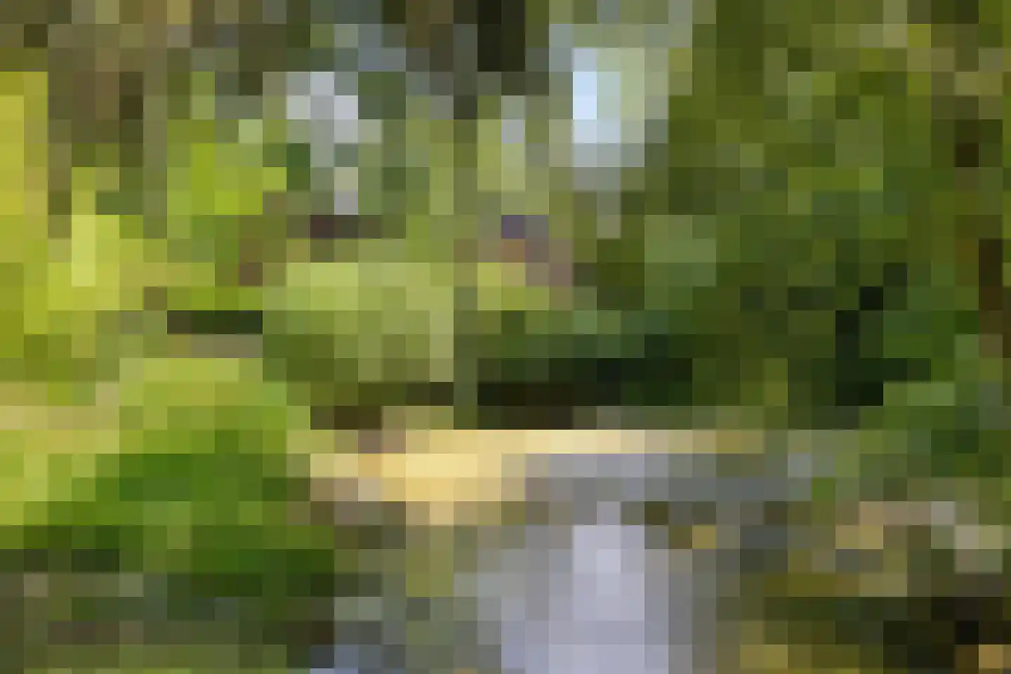 Het Brook 12 Wierden thumbnail 32