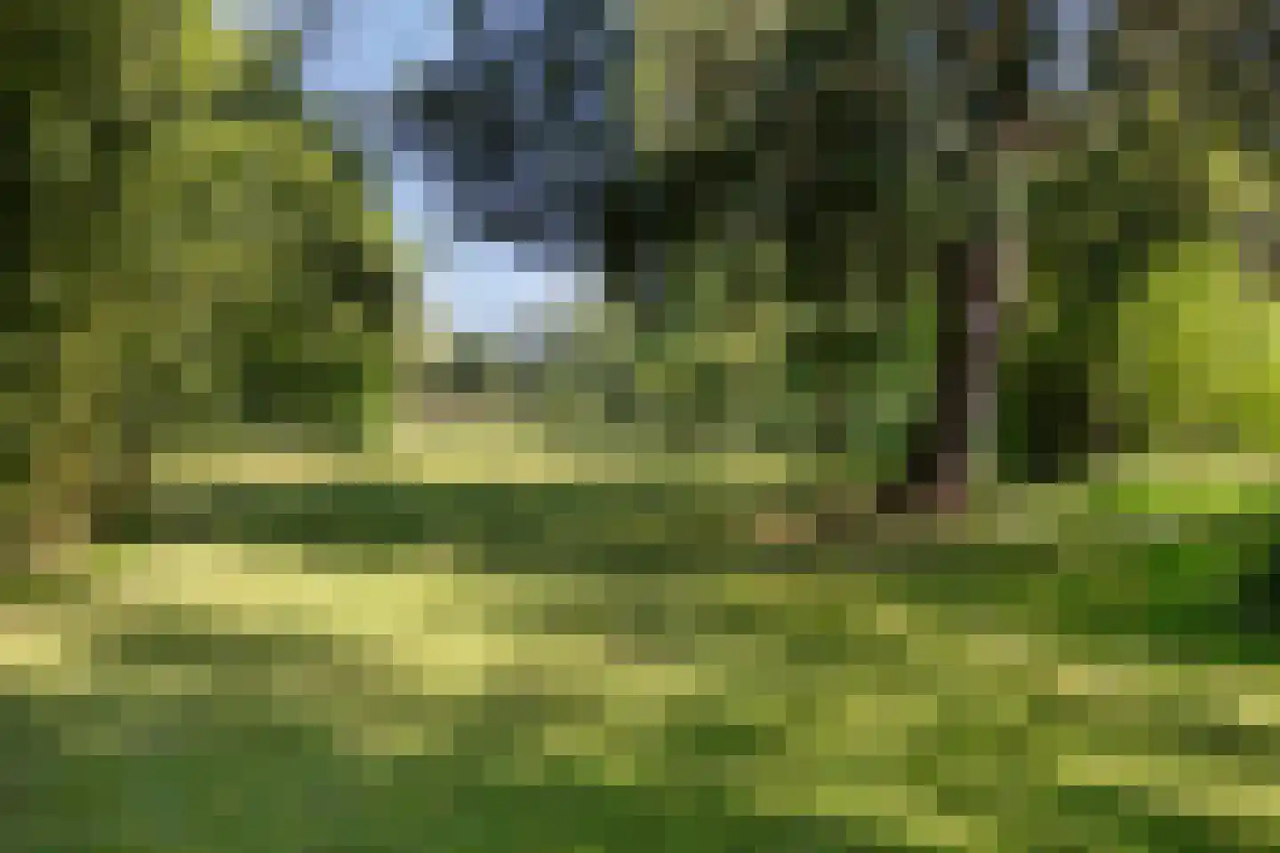 Het Brook 12 Wierden thumbnail 33