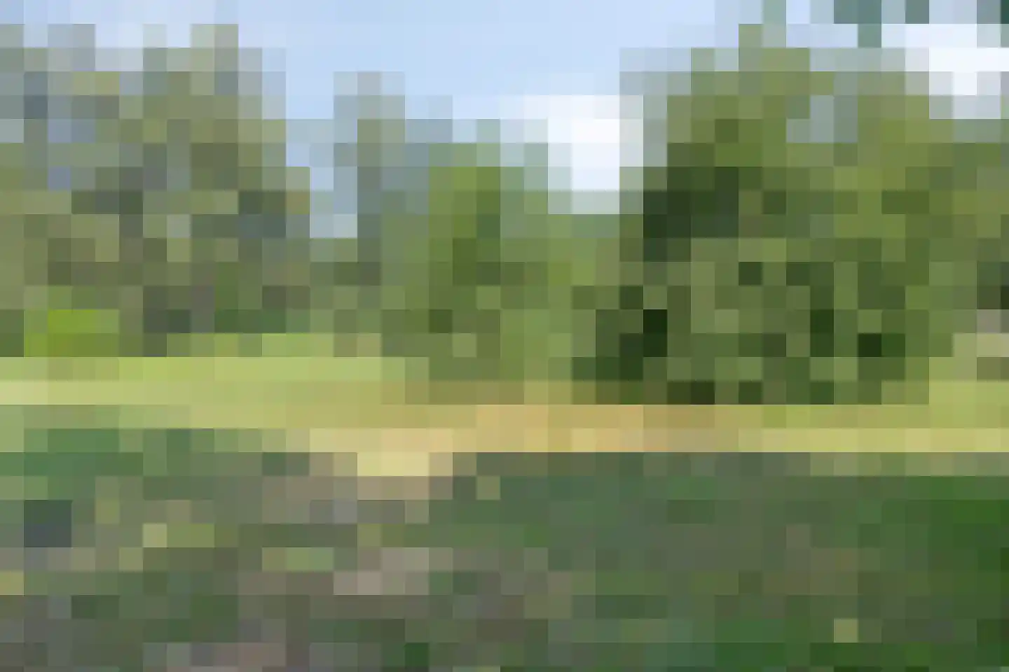 Het Brook 12 Wierden thumbnail 34