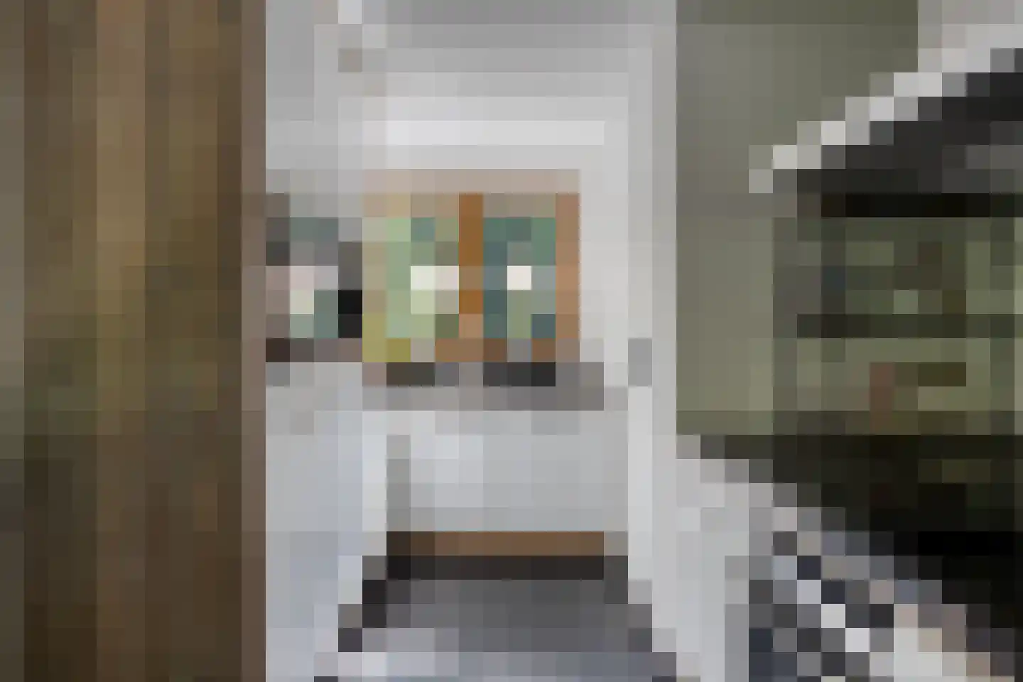 Het Brook 12 Wierden thumbnail 9