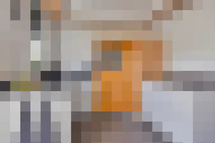 Het Brook 21 Lichtenvoorde thumbnail 12