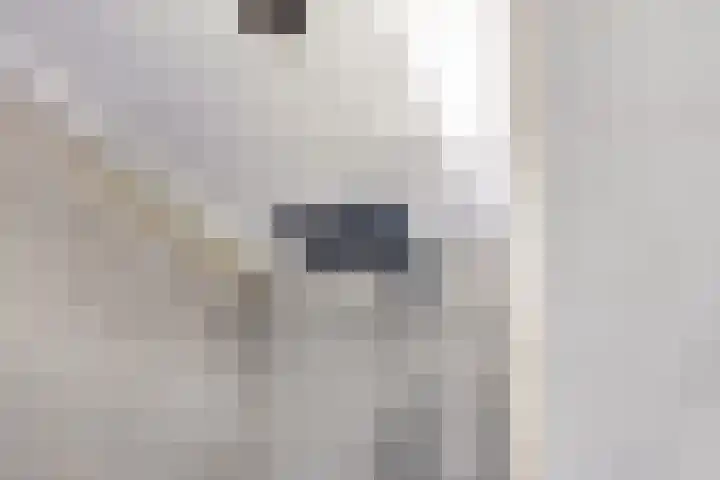 Het Brook 21 Lichtenvoorde thumbnail 20