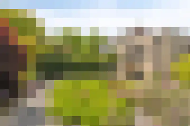 Het Brook 21 Lichtenvoorde thumbnail 26
