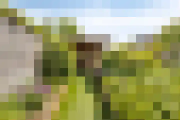 Het Brook 21 Lichtenvoorde thumbnail 28