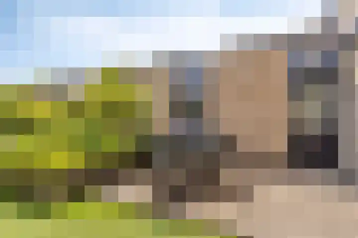 Het Brook 21 Lichtenvoorde thumbnail 29