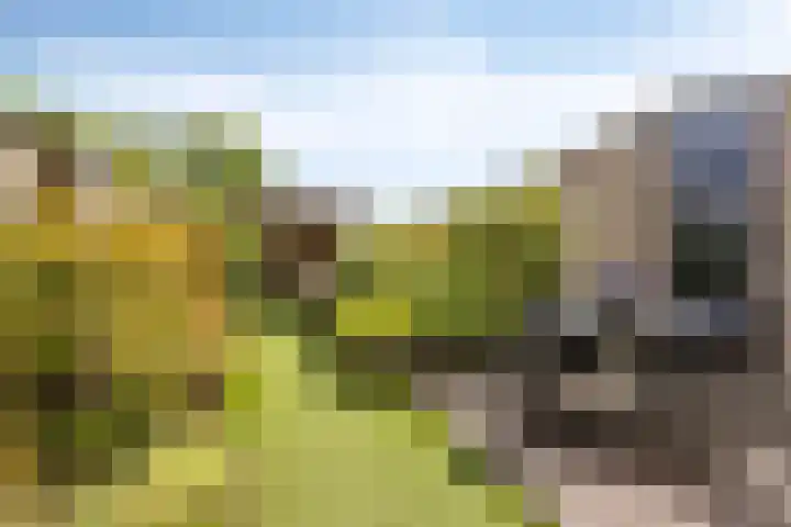Het Brook 21 Lichtenvoorde thumbnail 30