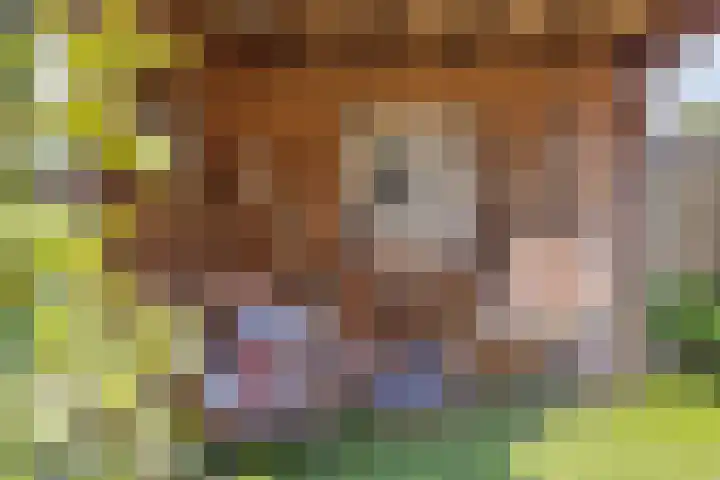 Het Brook 21 Lichtenvoorde thumbnail 31