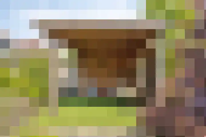 Het Brook 21 Lichtenvoorde thumbnail 32