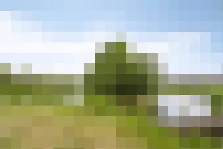 Het Brook 21 Lichtenvoorde thumbnail 33