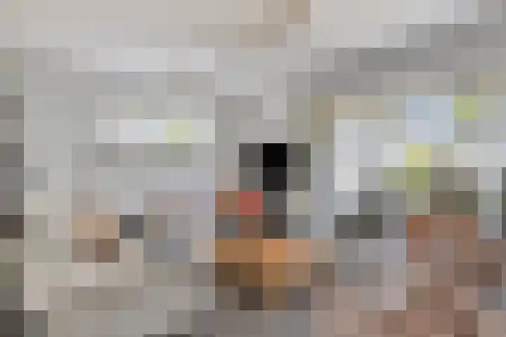 Het Brook 21 Lichtenvoorde thumbnail 8