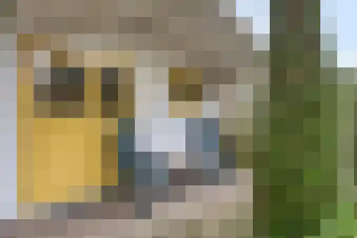 Het Brook 29 Lichtenvoorde thumbnail 35