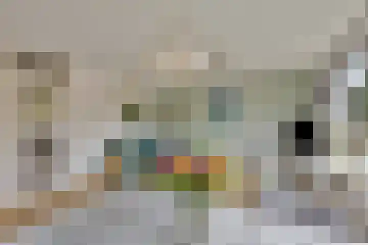 Het Brugstuk 101 Heiloo thumbnail 11