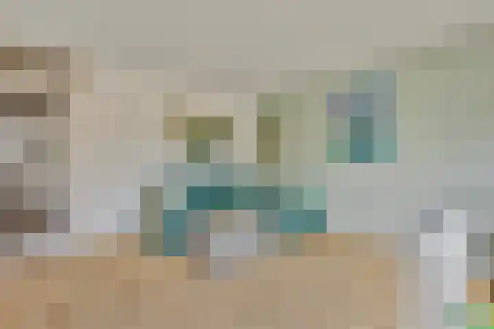 Het Brugstuk 101 Heiloo thumbnail 12