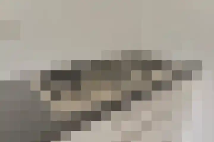 Het Brugstuk 101 Heiloo thumbnail 18