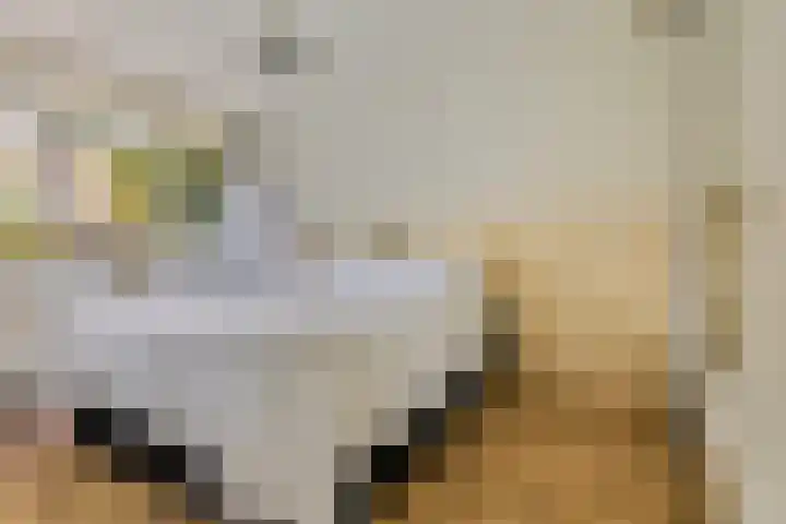 Het Brugstuk 101 Heiloo thumbnail 20