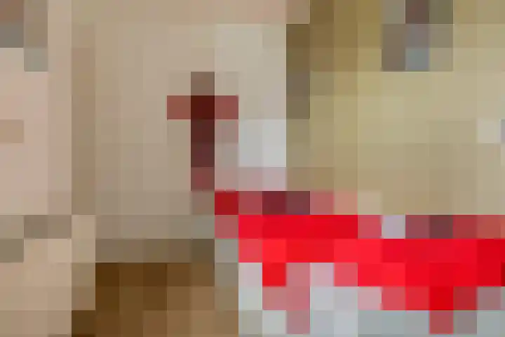 Het Brugstuk 101 Heiloo thumbnail 24