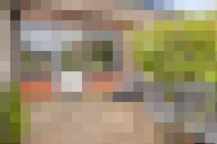 Het Brugstuk 101 Heiloo thumbnail 29