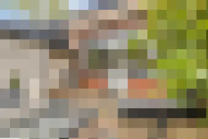 Het Brugstuk 101 Heiloo thumbnail 30