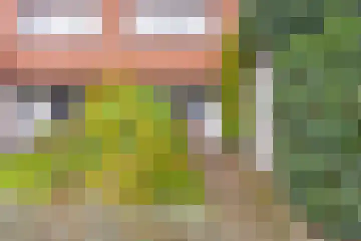 Het Brugstuk 101 Heiloo thumbnail 31