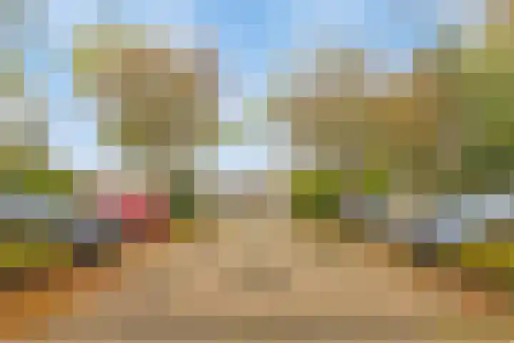 Het Brugstuk 101 Heiloo thumbnail 35