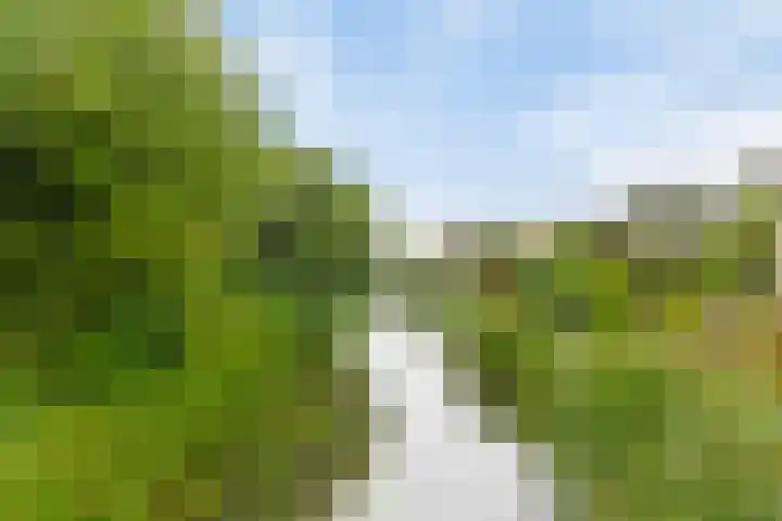 Het Brugstuk 101 Heiloo thumbnail 36