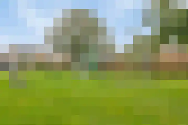 Het Brugstuk 101 Heiloo thumbnail 37