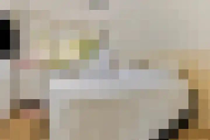 Het Brugstuk 101 Heiloo thumbnail 4
