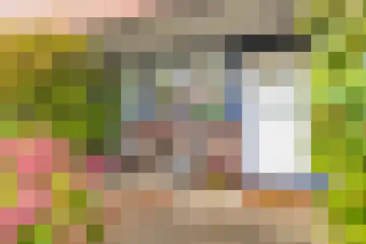 Het Brugstuk 101 Heiloo thumbnail 7