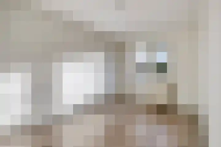 Het Brugstuk 17 Heiloo thumbnail 13