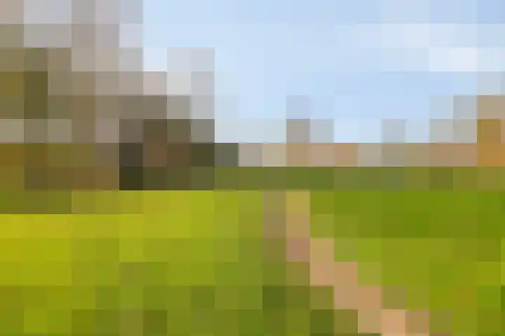 Het Brugstuk 17 Heiloo thumbnail 25