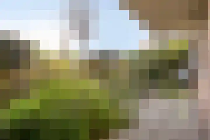 Het Brugstuk 17 Heiloo thumbnail 6