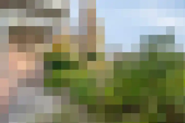 Het Brugstuk 17 Heiloo thumbnail 7