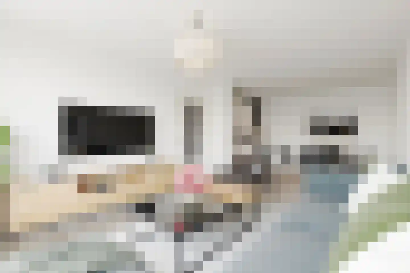 Het Brugstuk 49 Heiloo thumbnail 10