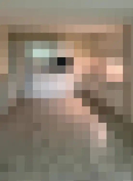 Het Brugstuk 7 Heiloo thumbnail 5