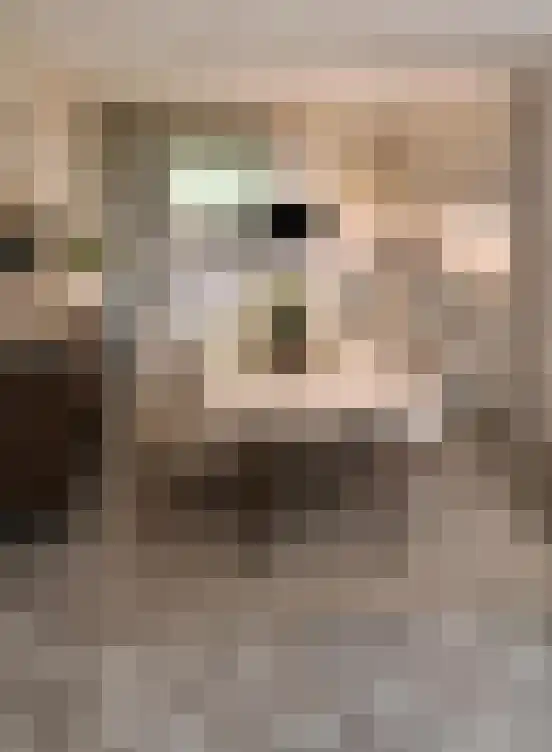 Het Brugstuk 7 Heiloo thumbnail 6