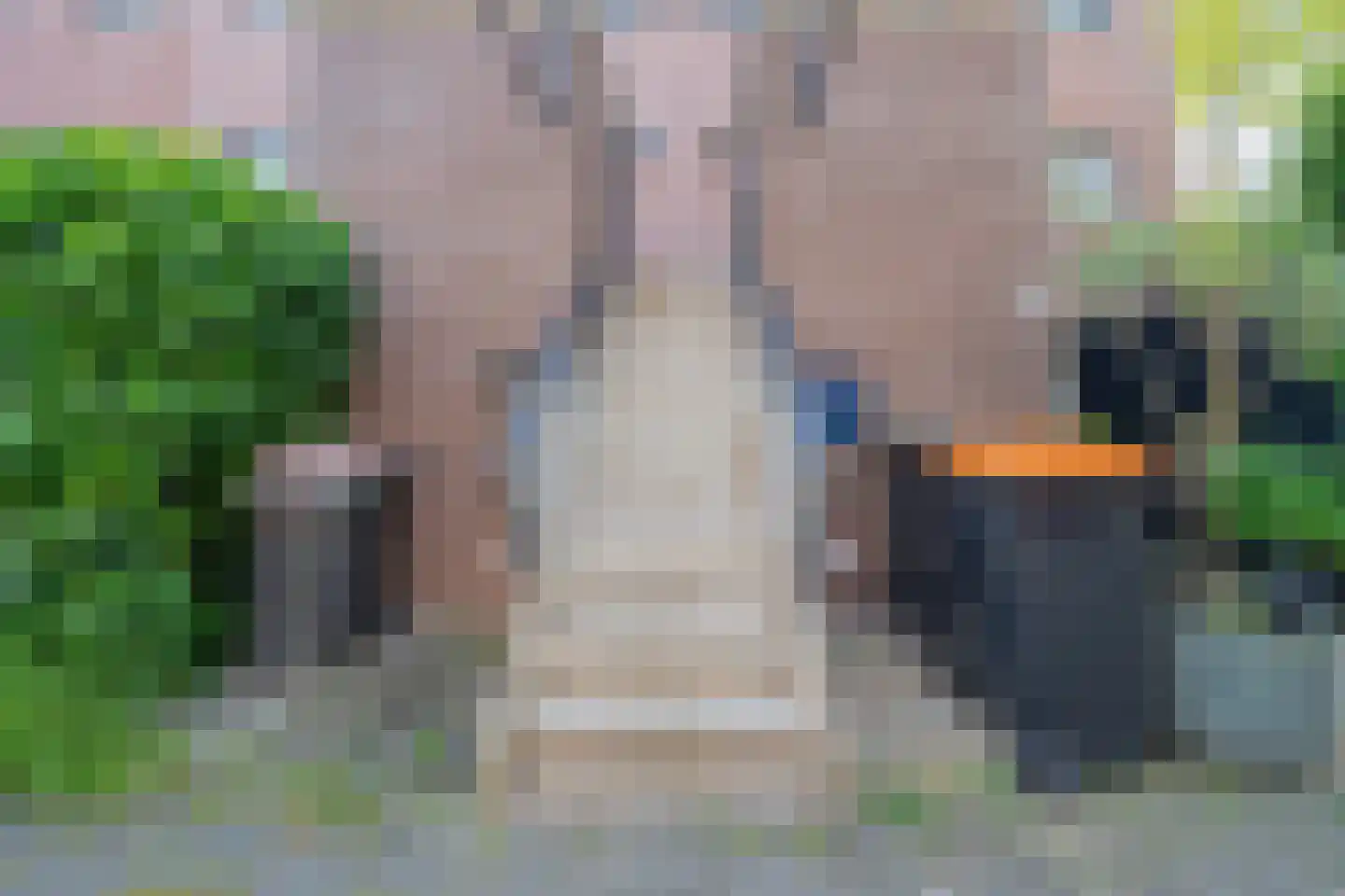 Het Brugstuk 97 Heiloo thumbnail 40
